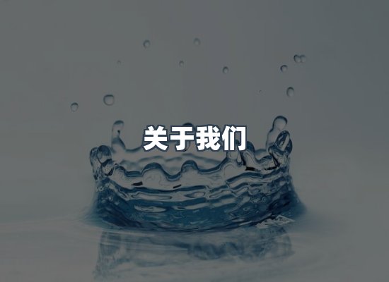 专业团队